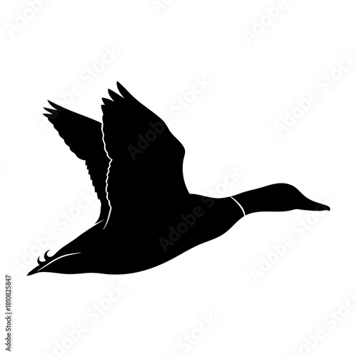 Flying Duck Silhouette Vector Graphic Illustration