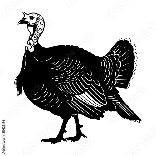 Female Turkey Hen Standing Silhouette Vector Icon