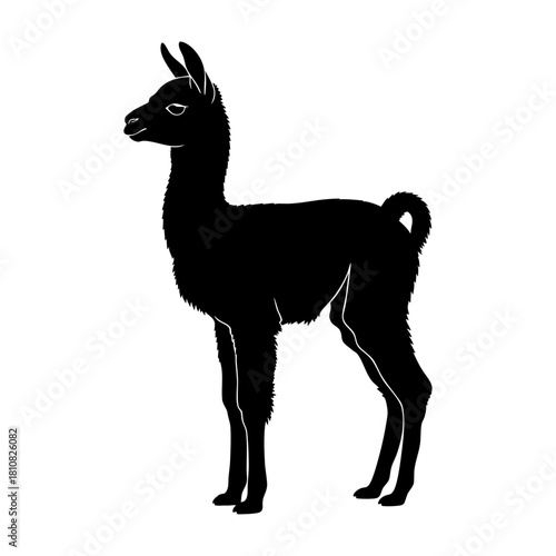 Standing Llama Side Profile Silhouette Vector Icon