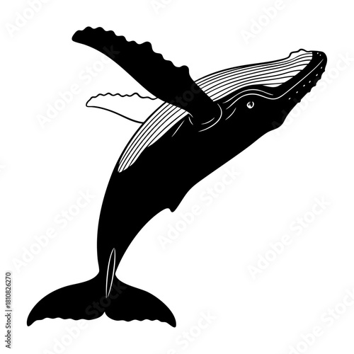 Humpback Whale Breaching Silhouette Vector