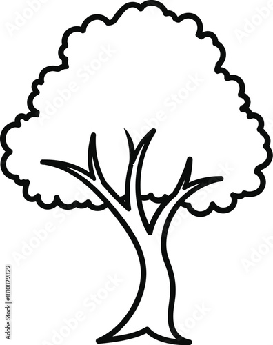 A simple black and white line art illustration of a deciduous tree with a full, rounded canopy and a sturdy trunk, perfect for coloring books, educational materials, or naturethemed designs