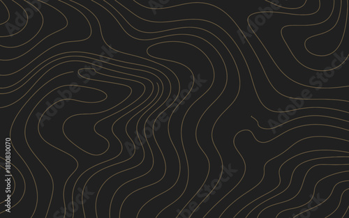 This image features an abstract design with flowing wavy lines in gold against a black background, symbolizing fluidity, luxury, and modern artistic expression.