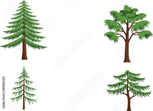 Cartoon tree species set, forest illustration, coniferous and deciduous types, educational botany chart, nature diversity, kids science, foliage morphology guide