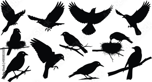 Set of black bird silhouettes flying with spread wings and perched on tree branches with nests vector illustration collection.