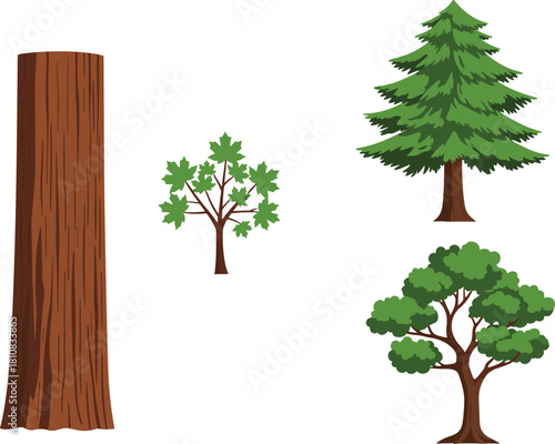 Cartoon tree types, forest illustration set, coniferous and deciduous species, educational botany chart, nature diversity, kids science, trunk foliage study