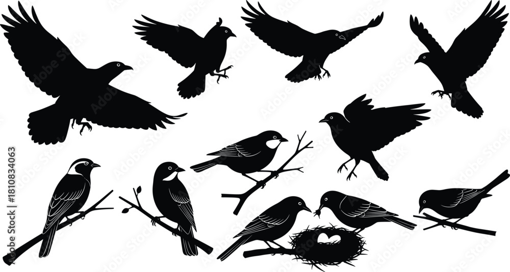 Obraz premium Collection of black bird silhouettes featuring flying ravens, perched sparrows on branches, and eagles with nest vector illustration set.