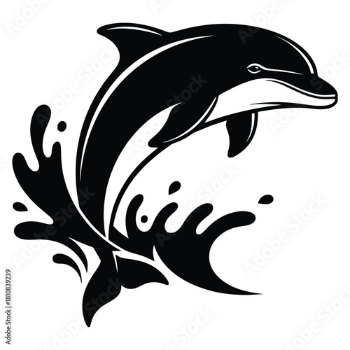 A black and white graphic depicts a dolphin leaping from the water with stylized splashes