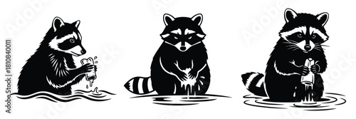 Three black and white raccoon illustrations stand in water one washing something in its paws a vector graphic ideal for branding or t shirt design