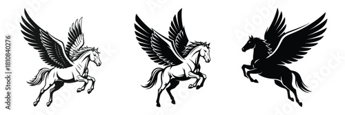Three pegasus illustrations showcase mythical winged horses in various poses and styles against a clean white background offering versatile design elements