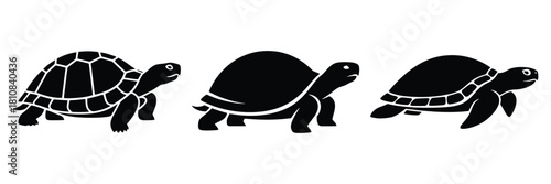 Three turtle silhouettes are arranged in a row against a white background creating a simple yet striking image