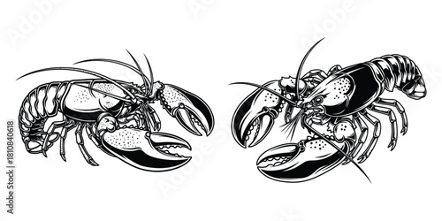 Two detailed lobster illustrations in black and white showcase intricate line work and a vintage aesthetic perfect for seafood restaurants or nautical themed designs