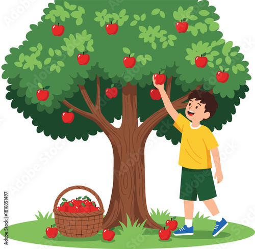 Boy picking apple tree illustration, harvest scene vector art, healthy food concept, nature agriculture theme, cad drawing flat vector illustration