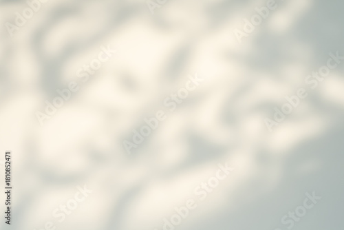 Soft-focus, abstract background of bright white and subtle gray, featuring dappled, out-of-focus shadows cast by leaves or trees. Ideal for texture, overlay, or graphic design.