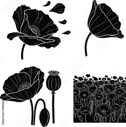 Poppy flower silhouettes vector set with petals seed pod and poppy field