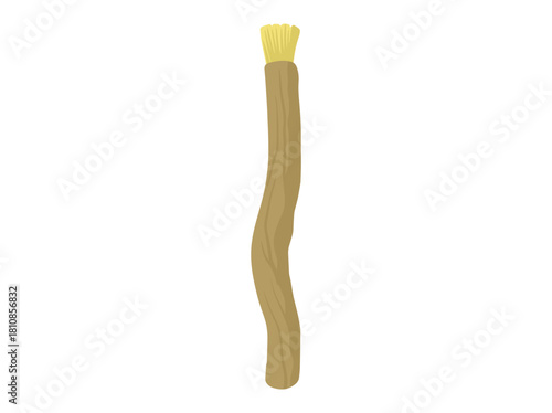 Miswak Toothbrush Clip Art Illustration
