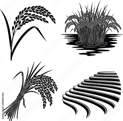 Rice plant silhouettes vector set with paddy plants and terraced field