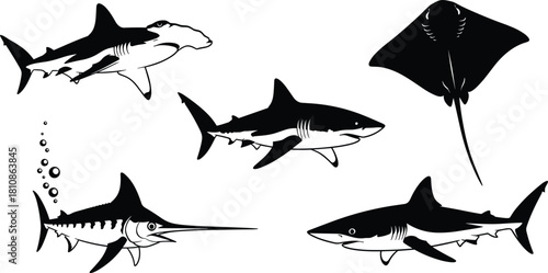 Shark, Hammerhead, Marlin, and Stingray Marine Life for Fishing, Wildlife, and Sea Animal Graphics