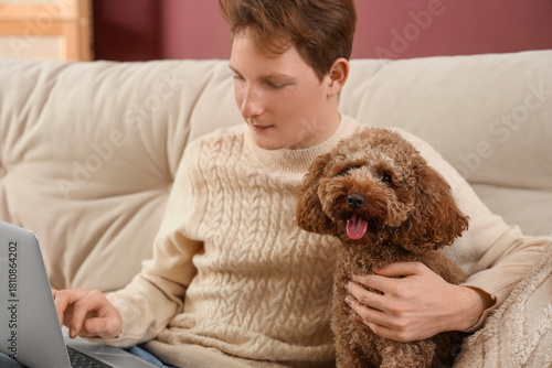Young man using laptop with...