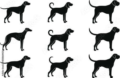 Pointer, Beagle, and Greyhounds in Standing Profile for Pet Shop, Veterinary Clinic, and Animal Logos