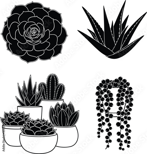 Succulent plant silhouettes vector set with cactus aloe and hanging planter