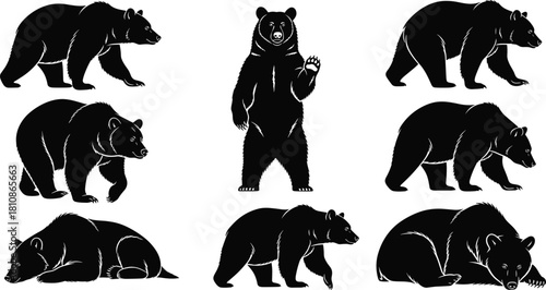 Grizzly and Brown Bear in Various Poses—Standing, Walking, and Sleeping for Wildlife and Animal Logos