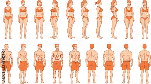 Vector illustration set of male and female human bodies standing in front, side, and back views wearing orange underwear for anatomy and fitness concepts.