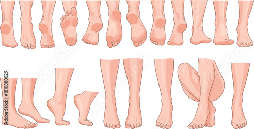 Set of realistic human feet and leg vector illustrations featuring various poses like walking, tiptoes, and soles isolated on white background for podiatry and beauty concepts.