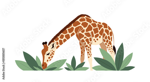 Illustration of a giraffe with brown spots bending down to eat green grass and leaves.