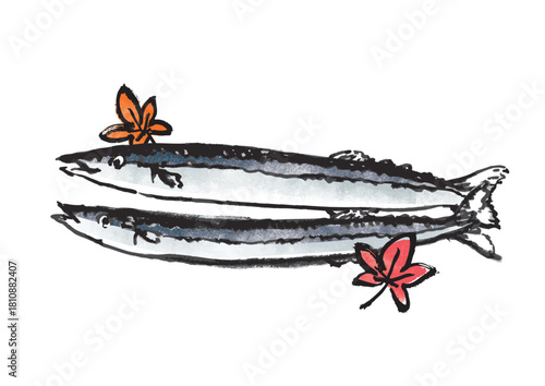 秋刀魚　墨絵イラスト
