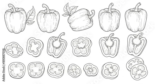 Delicious peppers in a hand drawn style, perfect for adding a natural touch to your designs or culinary projects that need a fresh, organic feel.