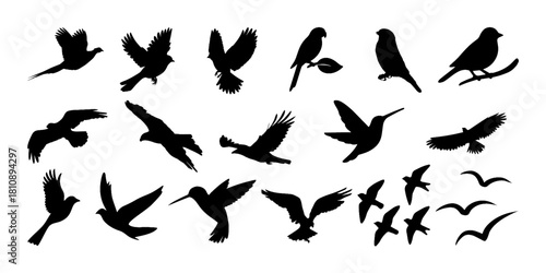 birds,silhouettes,flying birds,bird shapes,flock of birds,black bird silhouettes,bird icon set,bird vector icons,animal silhouettes