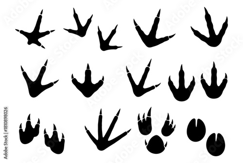 Animal footprints silhouette vector set of bird, dinosaur, paw, and hoof tracks illustration
