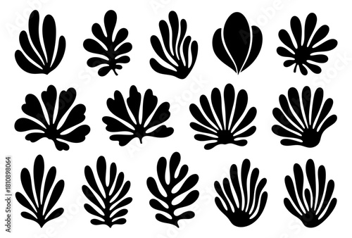 Set of abstract black organic shapes, collection of minimalist plant, leaves and seaweed silhouettes