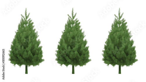 Three Green Pine Trees with Textured Foliage Isolated on White Background vector illustration