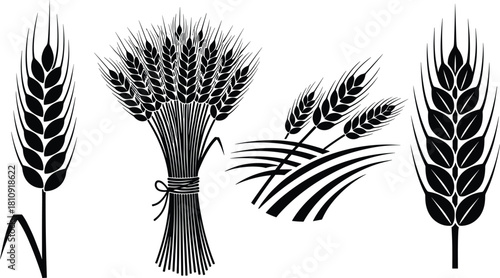 Wheat ear and grain bundle silhouettes vector for agriculture design
