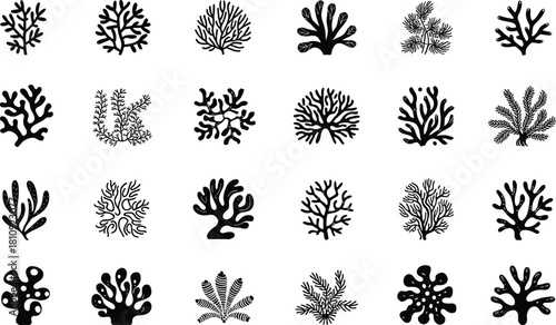 Collection of Black Silhouette Coral and Seaweed Shapes on White Background Keywords: coral
