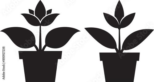 Two potted tulip flowers in silhouette
