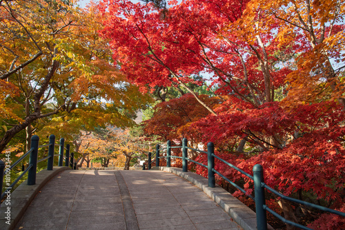 錦秋の函館公園、静寂の曲線