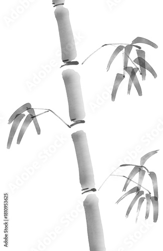 Bamboo Sumi-e Ink Illustration (Japanese Brush Art)