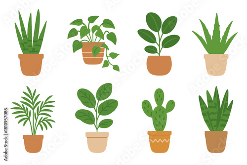 Collection of eight different indoor potted plants including snake plant, cactus, aloe, and tropical foliage