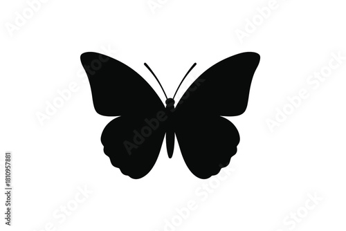 Minimalist black butterfly silhouette graphic design element on white background