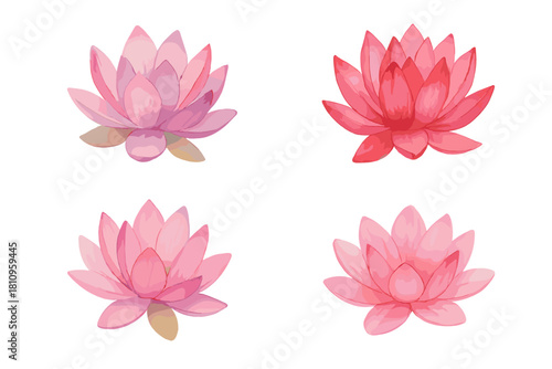 Watercolor lotus flowers in vibrant pink and deep red hues