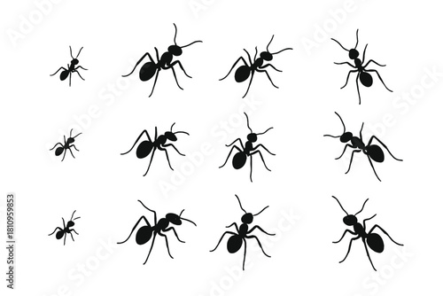 Various poses and sizes of black ant silhouettes for design elements