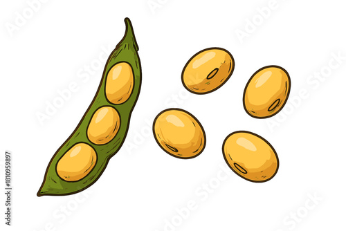 Soybean pod with loose yellow beans in a sketch style drawing