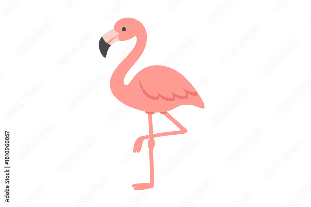 Fototapeta premium Charming pink flamingo standing gracefully on one leg isolated on white