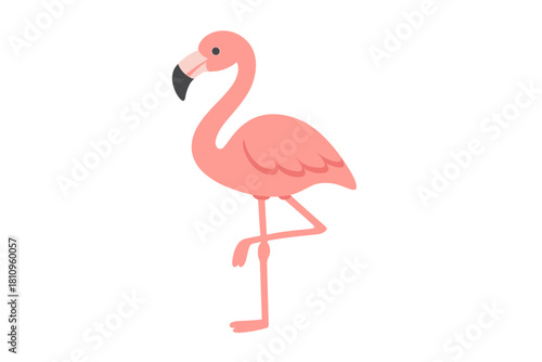 Charming pink flamingo standing gracefully on one leg isolated on white