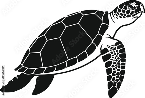 Sea turtle silhouette, marine vector, swimming profile, black and white, shell pattern, CAD drawing, flat vector, ocean animal illustration