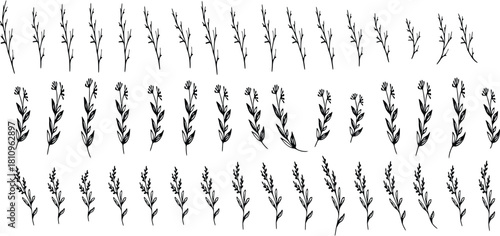 A Seamless pattern of sketched branches and floral elements in black and white.