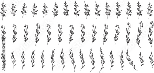 This seamless pattern showcases various handdrawn leaves and branches arranged on a clean white background It creates a delicate and natural aesthetic perfect for adding a touch of organic beauty.