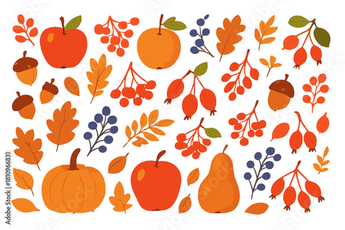 Assortment of autumn harvest fruits berries and oak leaves